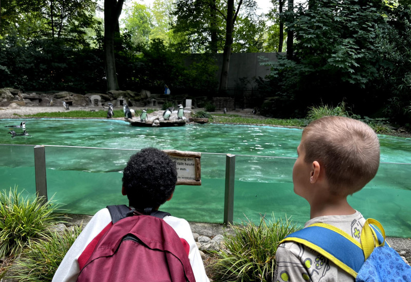 Im Tierpark