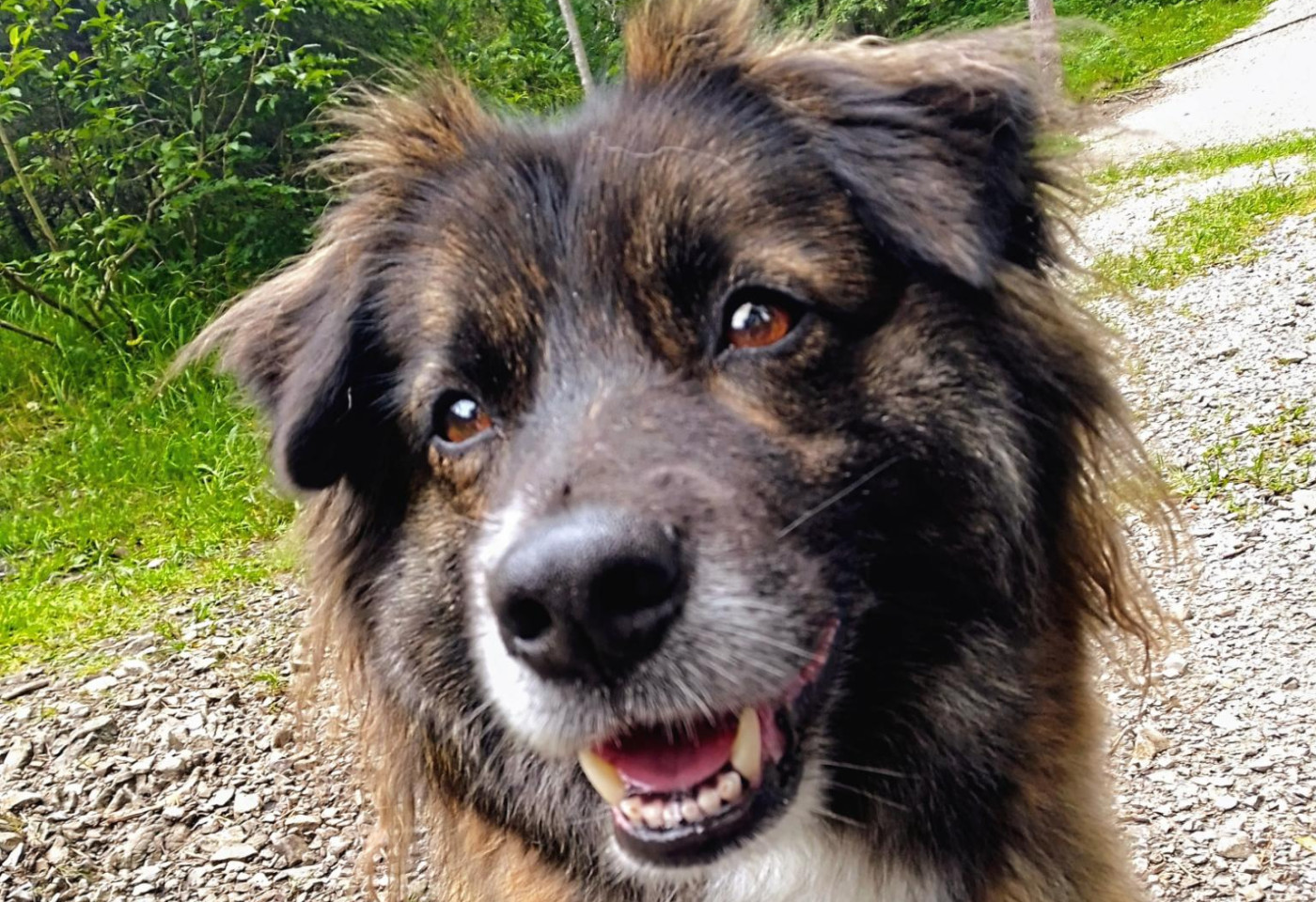 Paddy war auch dabei