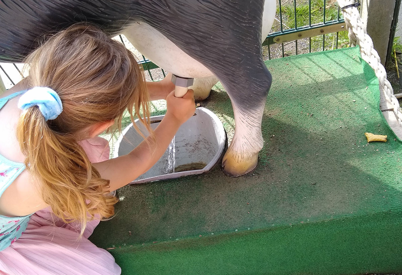 Woher kommt die Milch? Erfahrungen im Streichelzoo